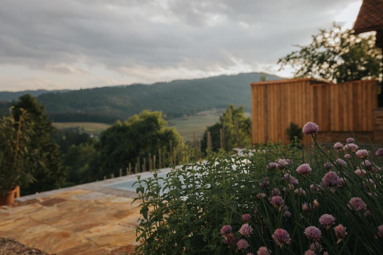 דויטשלנדסברג Am Wildbachberg - Luxus Ferienhaeuser Mit Infinitypool, Privatsauna Und Weinkeller מראה חיצוני תמונה